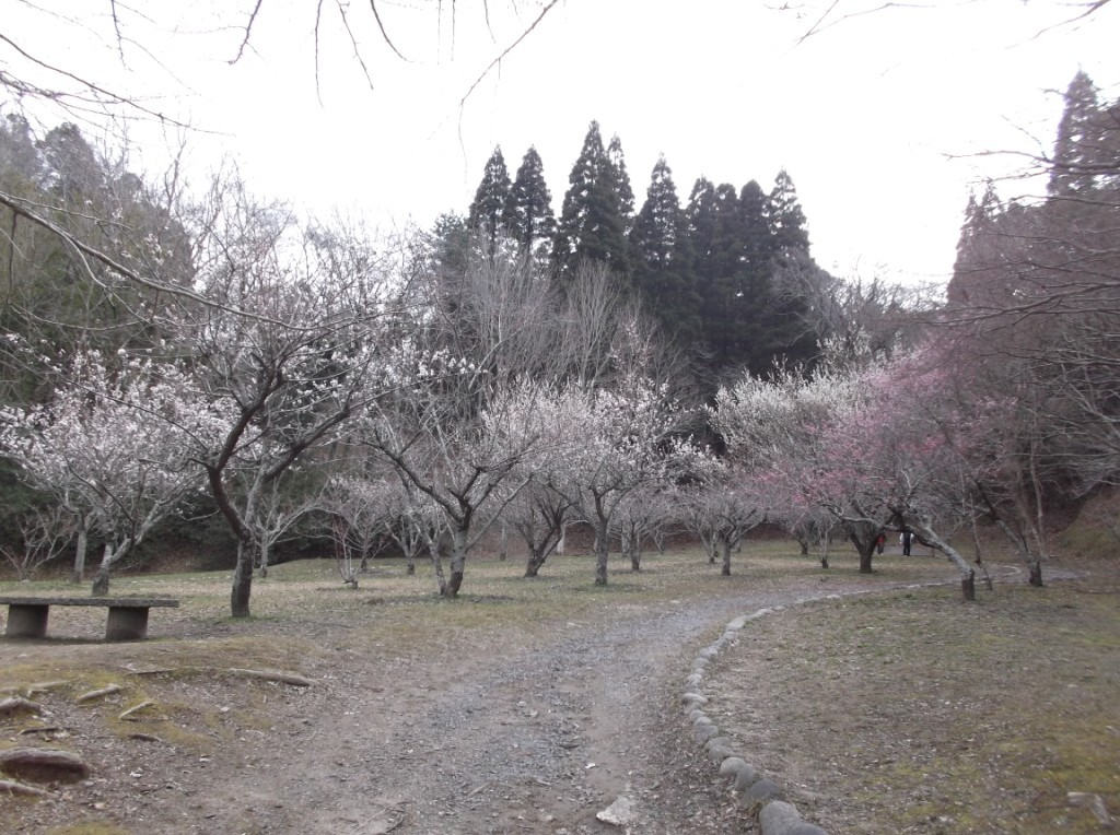 散策道　梅園