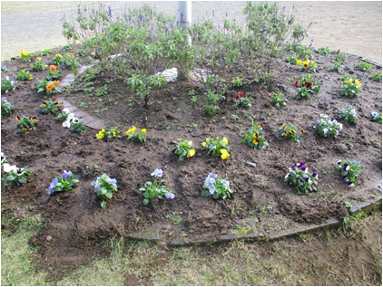 緑の募金市町村交付事業1