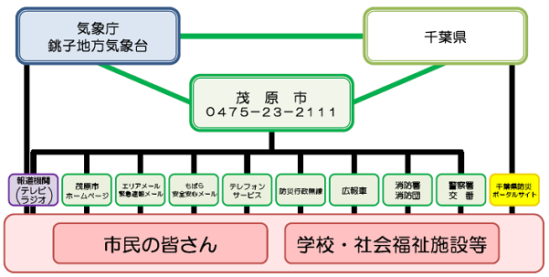 情報の伝達経路