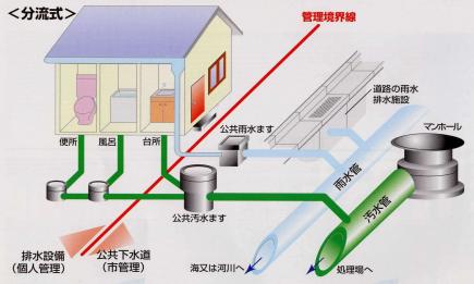 管理区分が表示されています