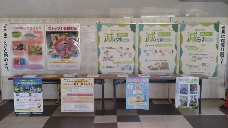 展示の様子