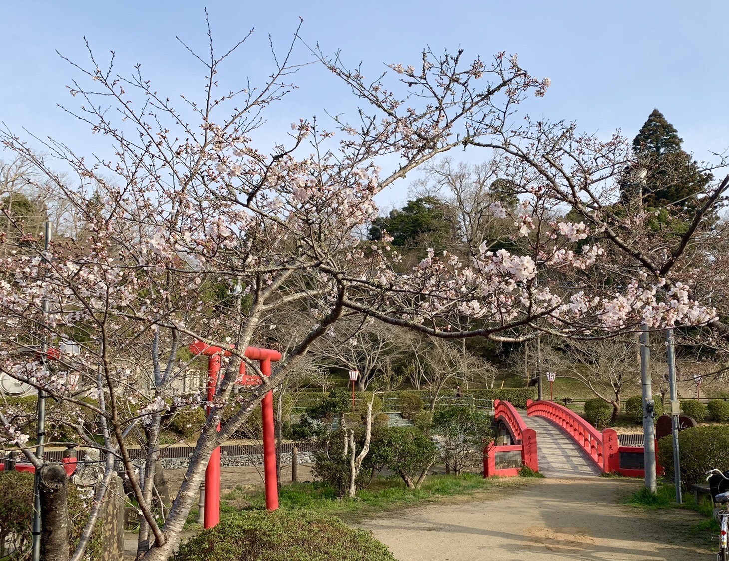 弁天島標本木1