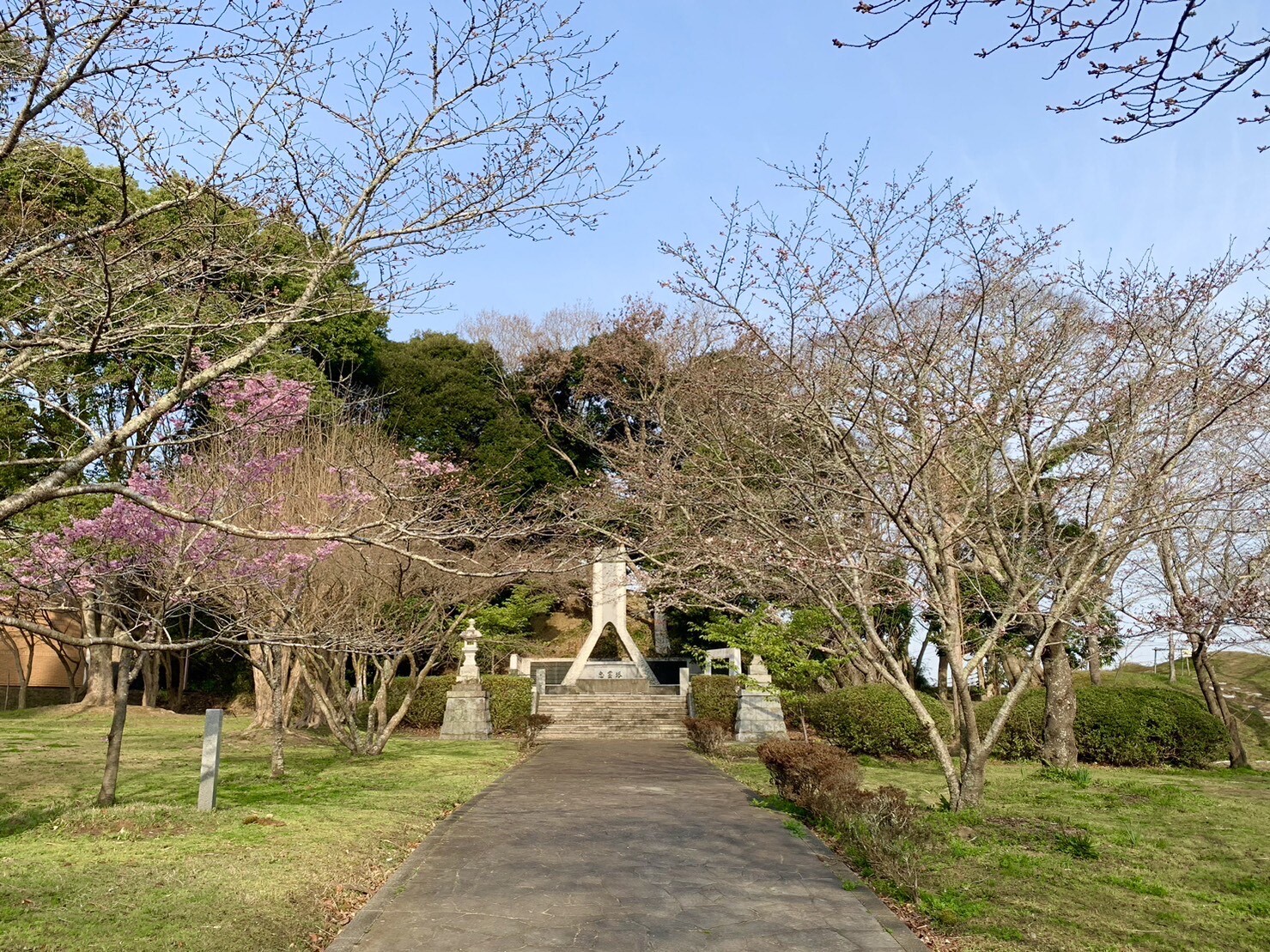 忠霊塔の桜1