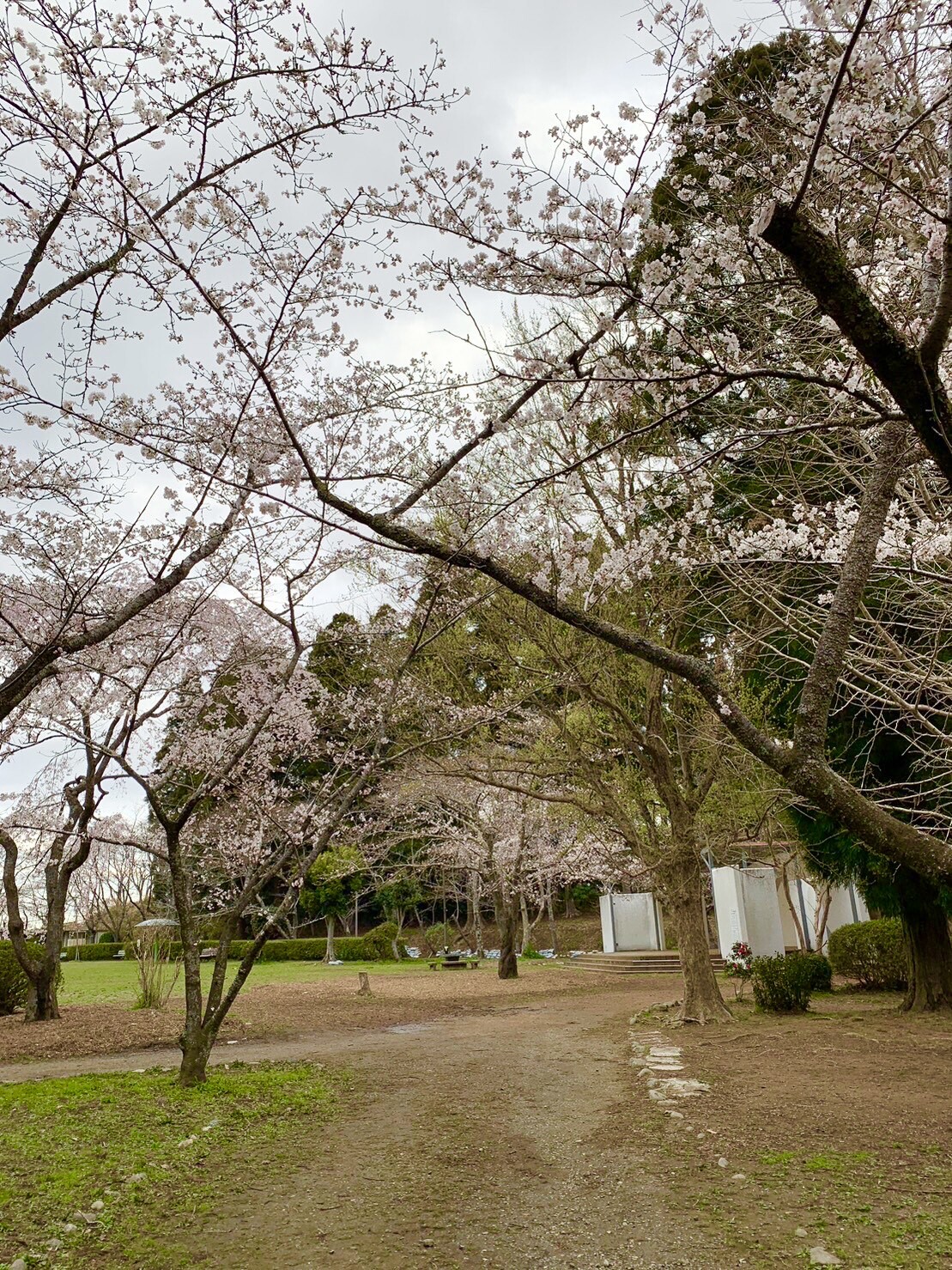 ステージ付近1