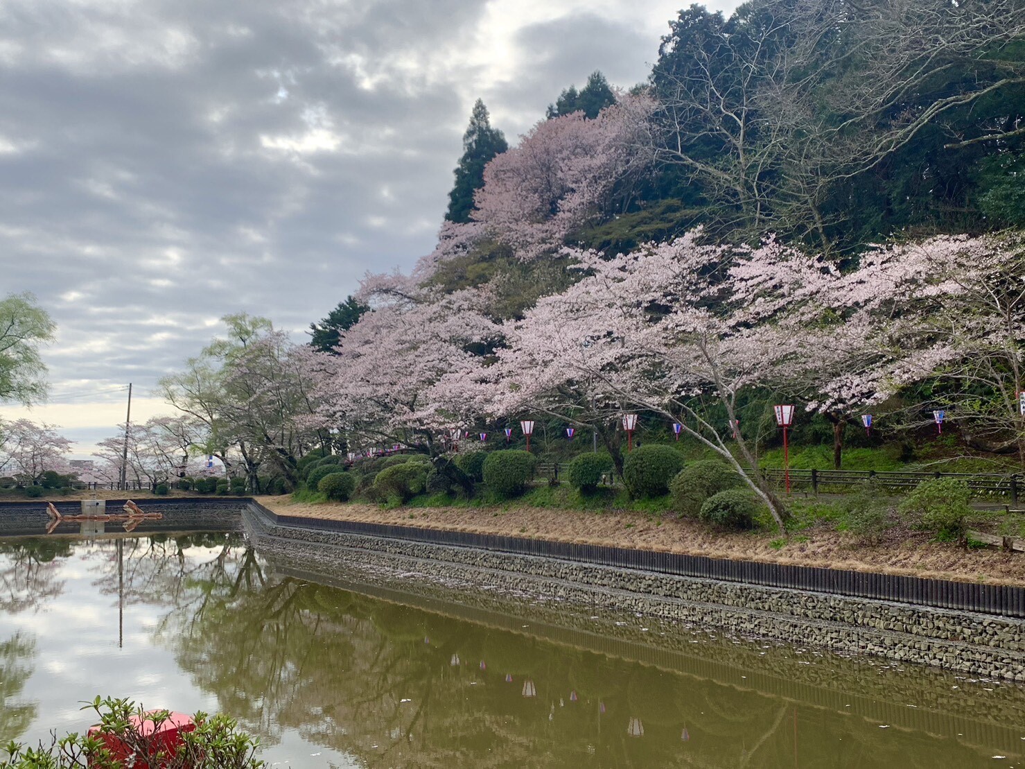 弁天湖周辺の桜