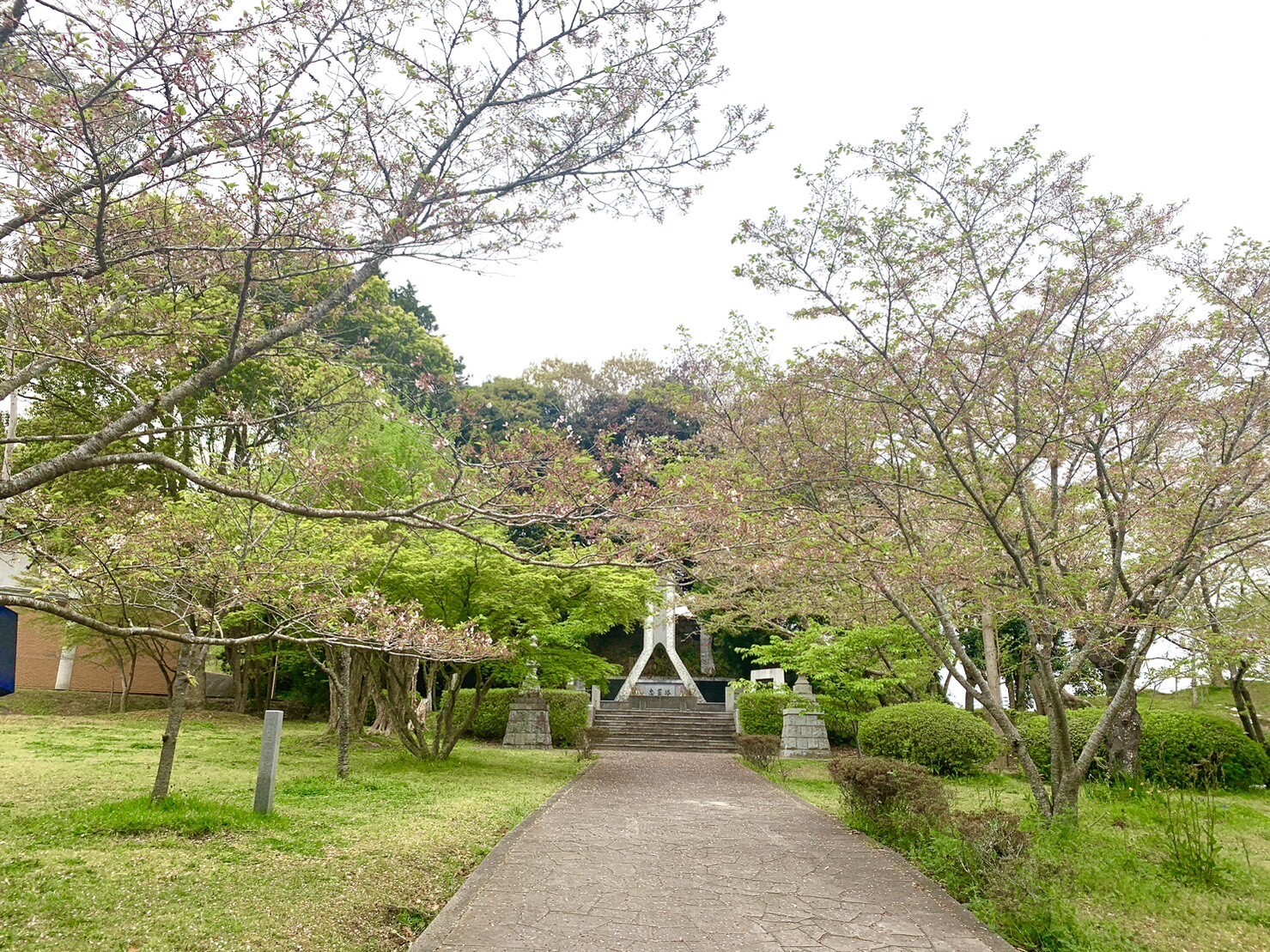 忠霊塔付近の桜