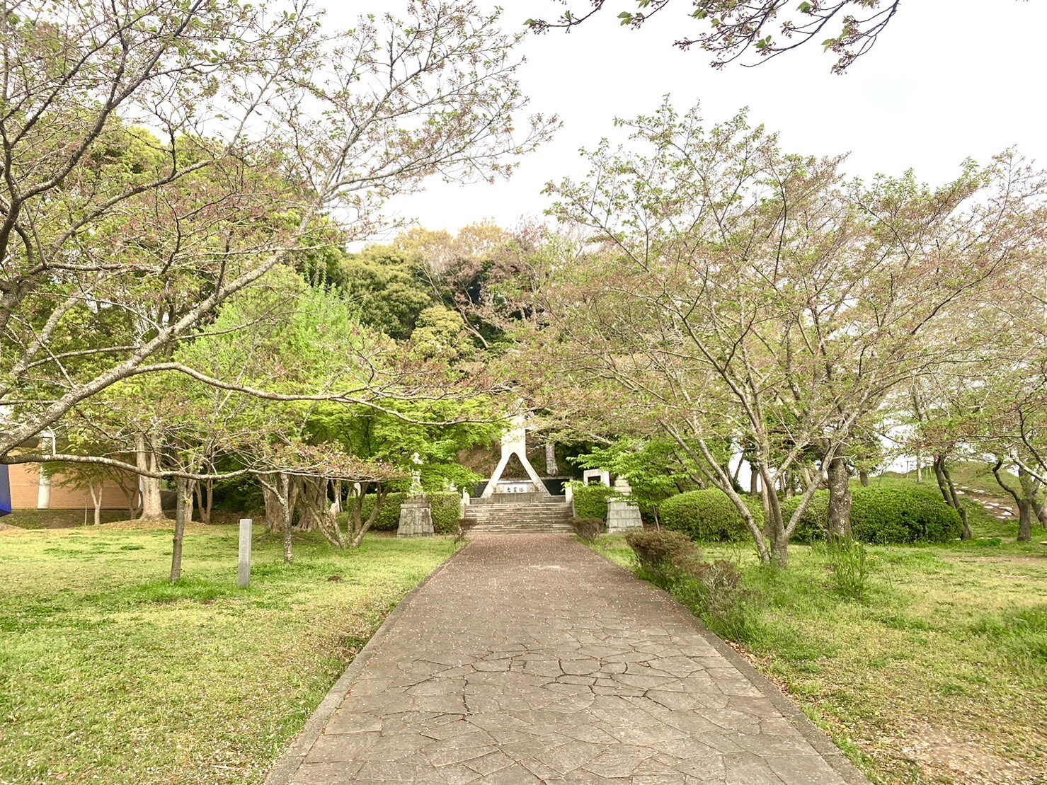 忠霊塔付近の桜