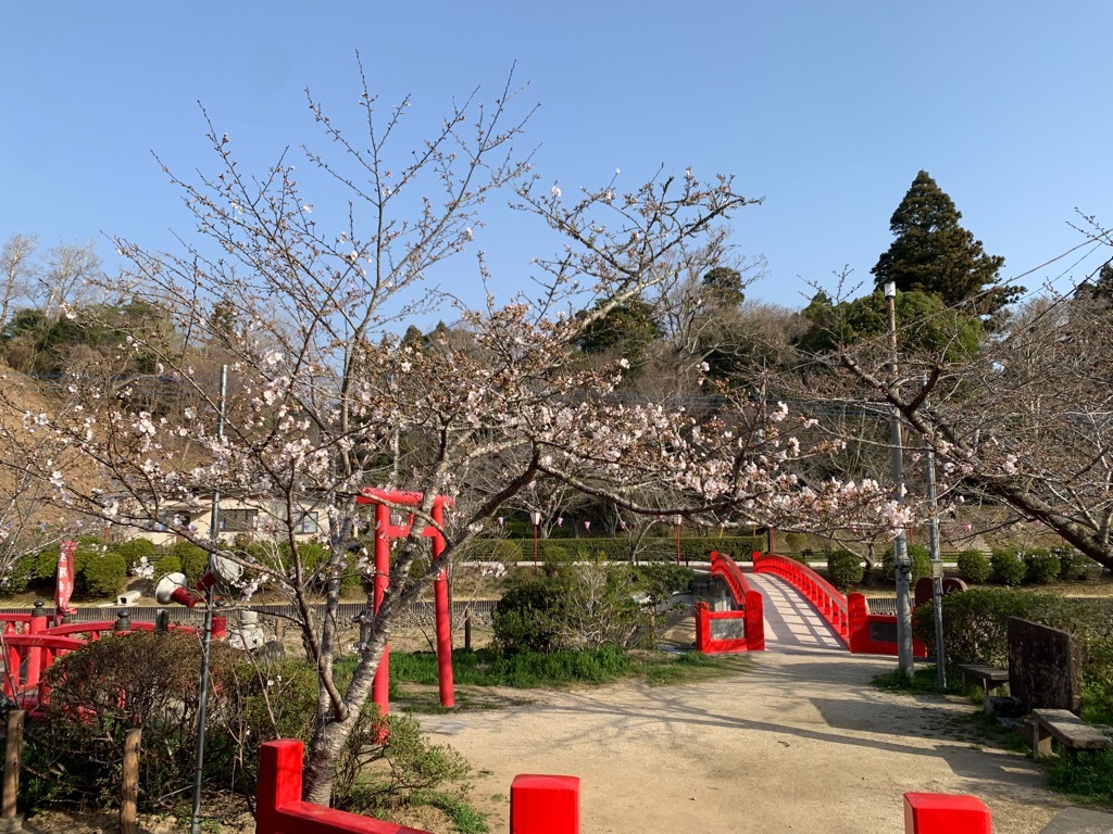 標本木1