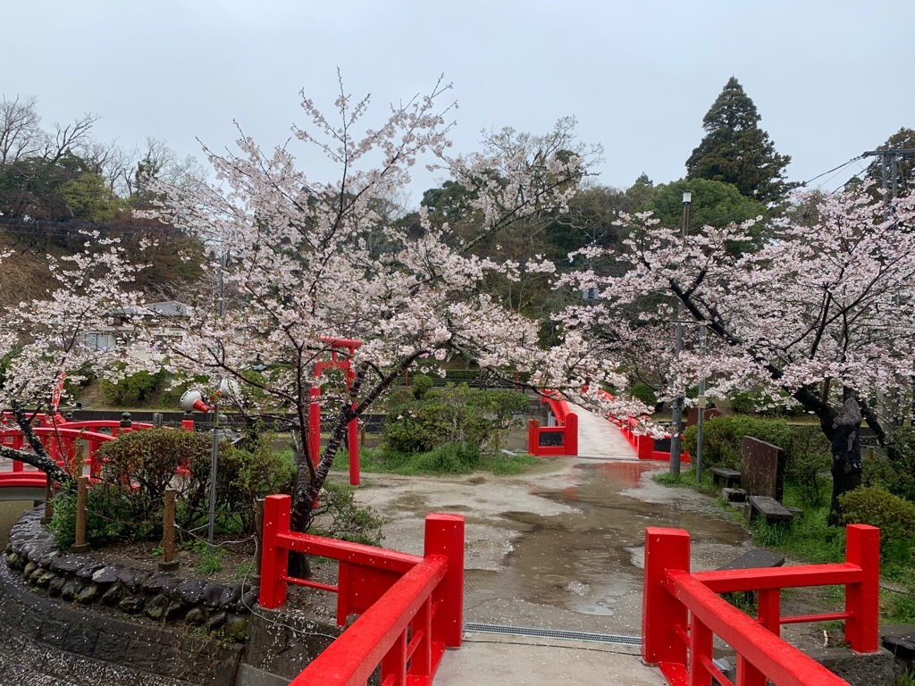標本木