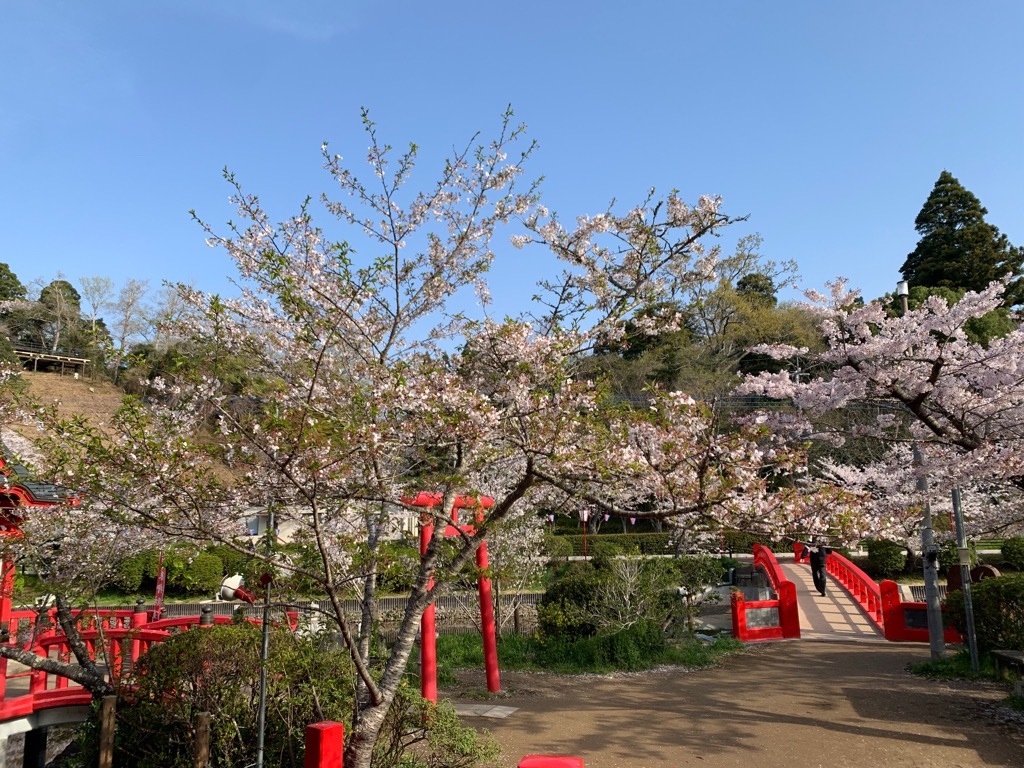標本木