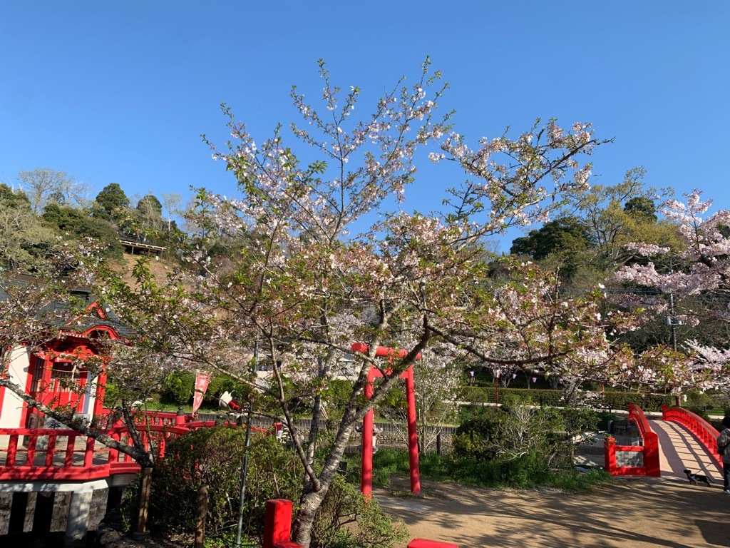 標本木