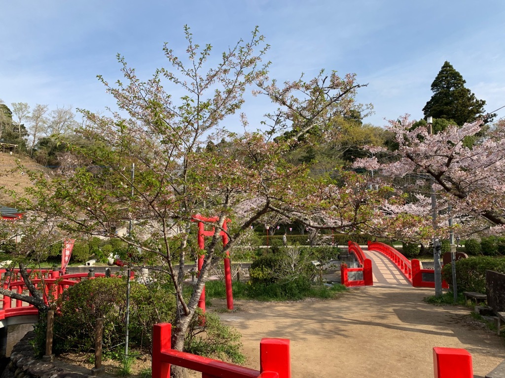 標本木