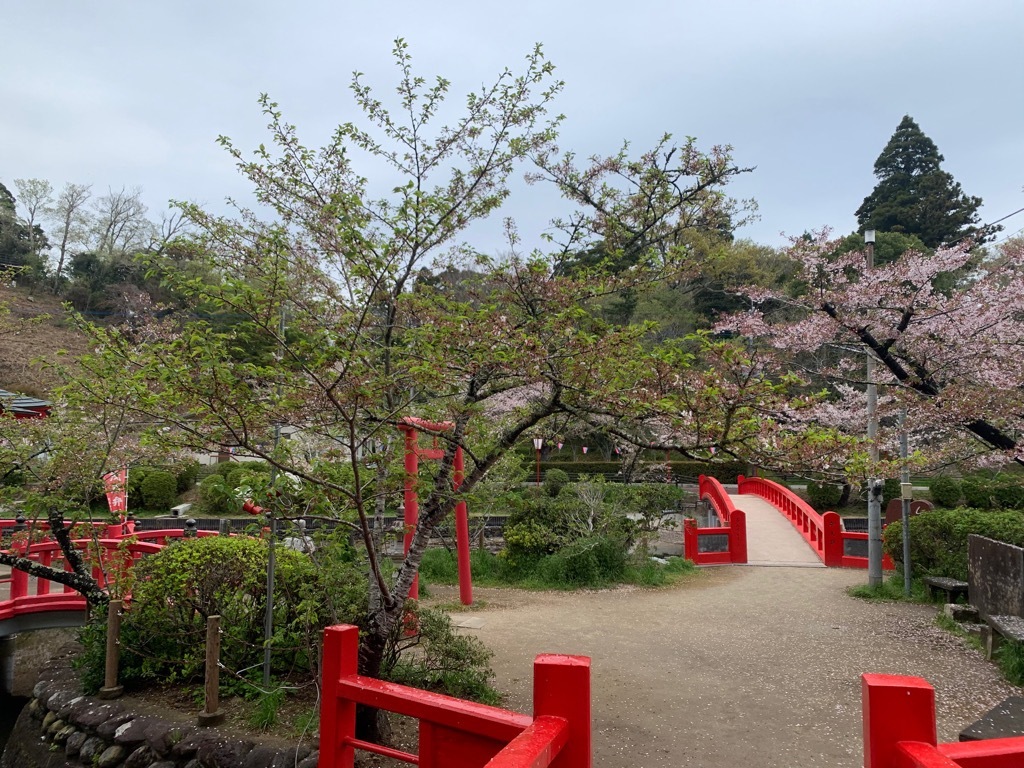 標本木