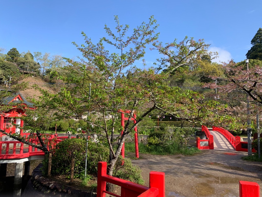 標本木