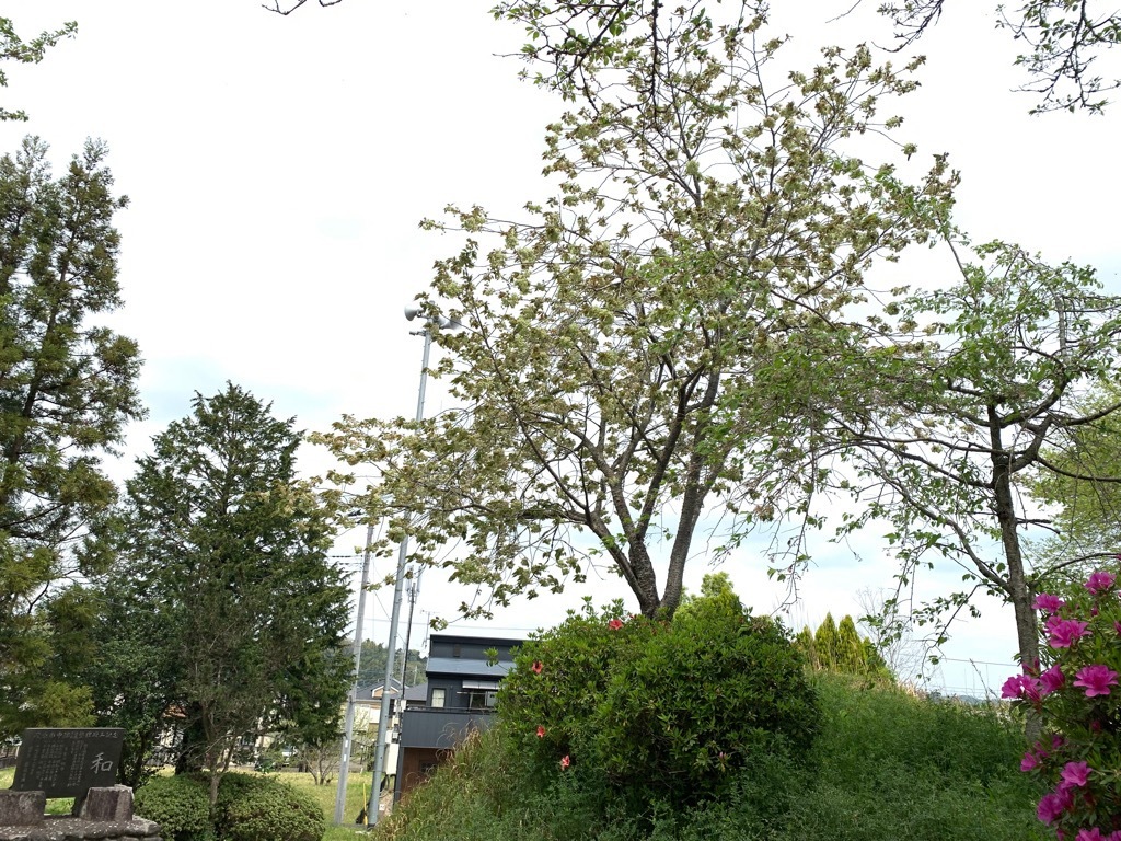 美術館入口