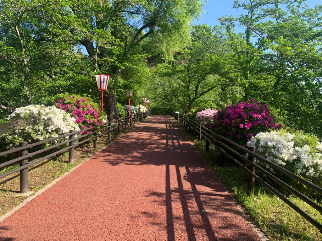 茂原公園入口付近