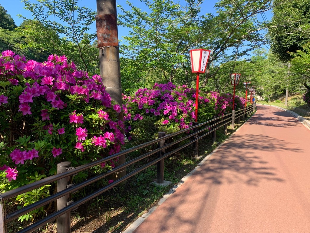 弁天湖周辺2