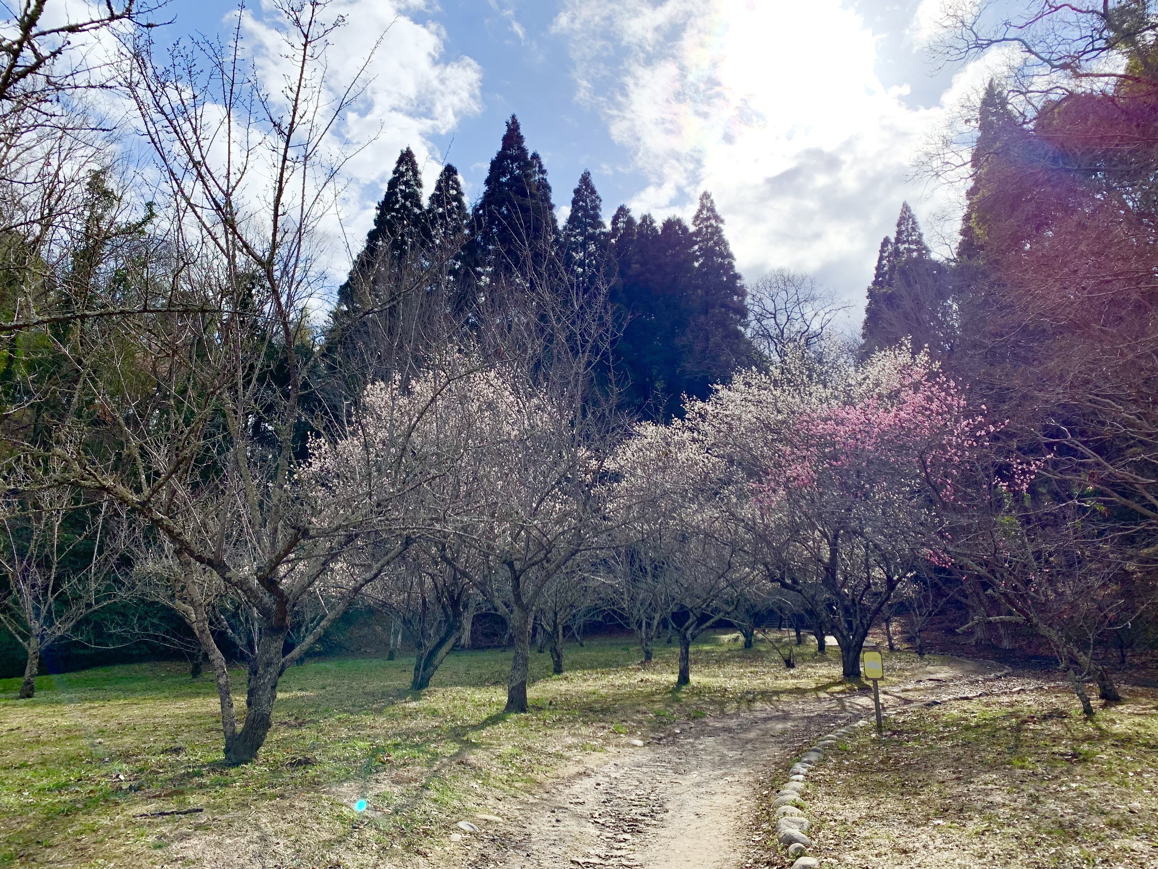 梅園遠景