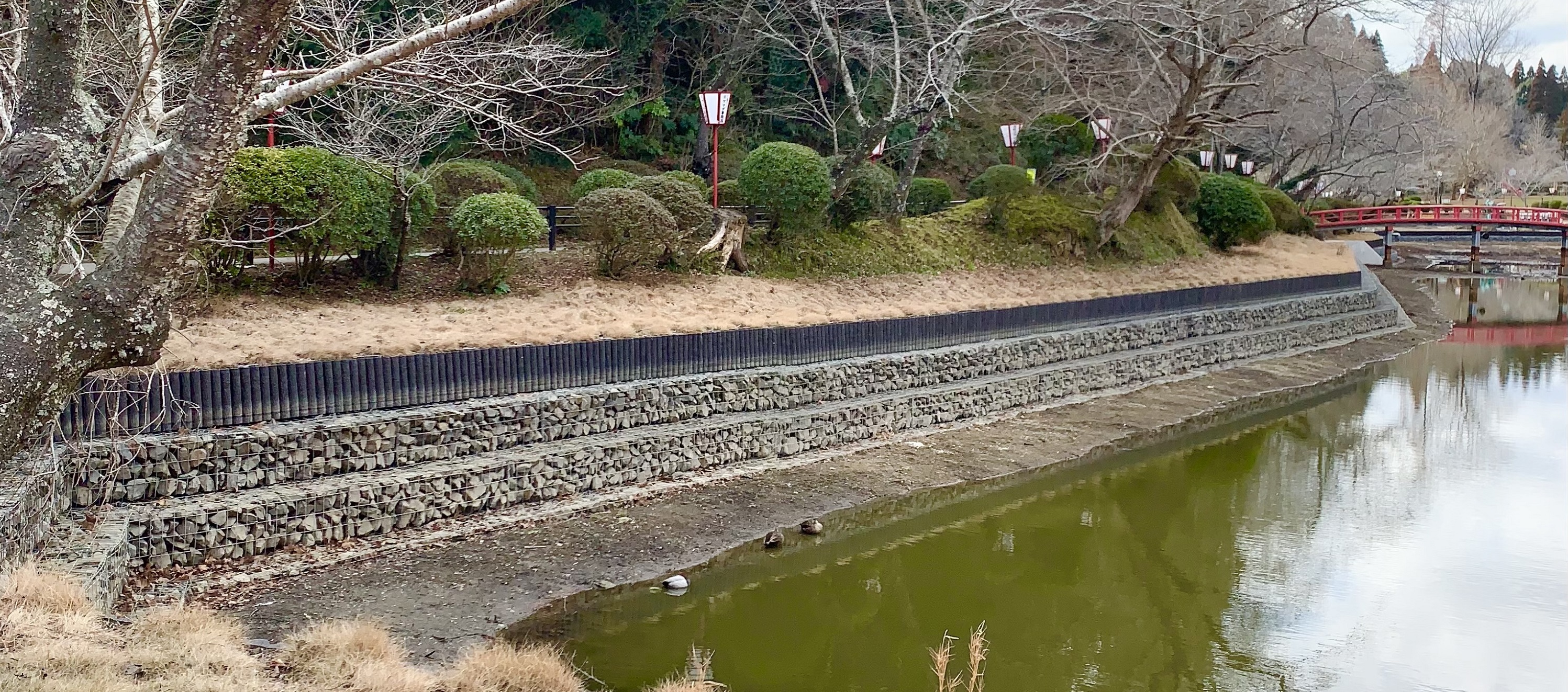 護岸工事近景