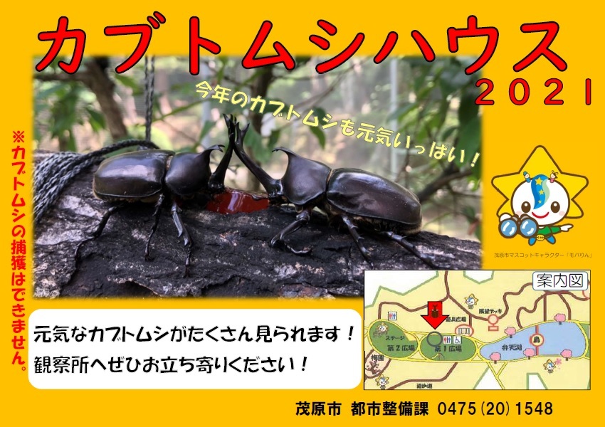 茂原公園に掲示してあるカブトムシ紹介看板