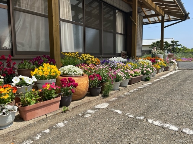 藍様邸花壇4