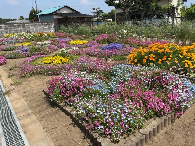 藍様邸花壇1