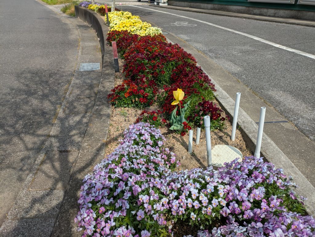 大芝いきいきサロン2