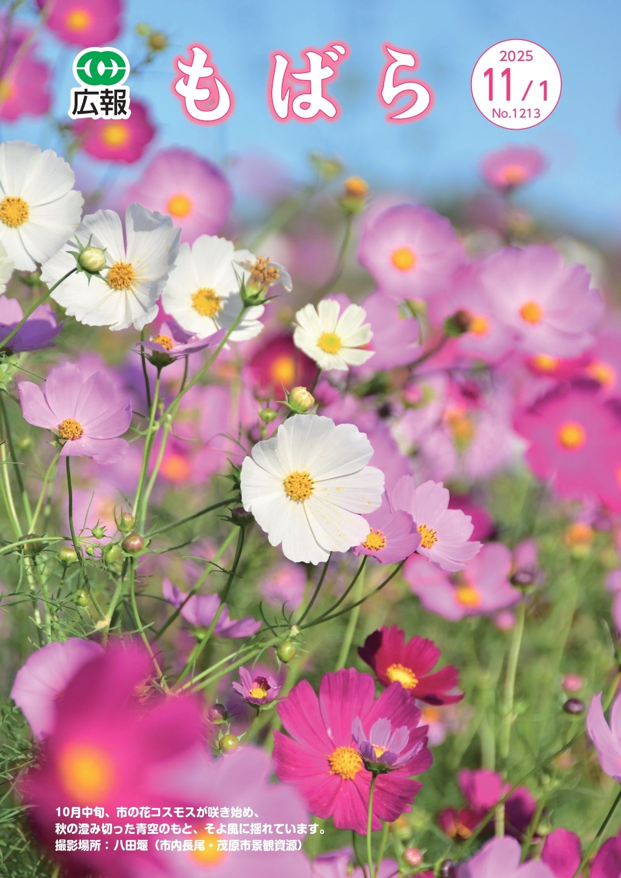 広報もばら令和7年11月1日号表紙