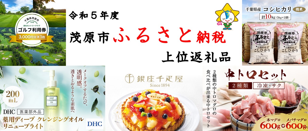 令和5年度茂原市ふるさと納税上位返礼品
