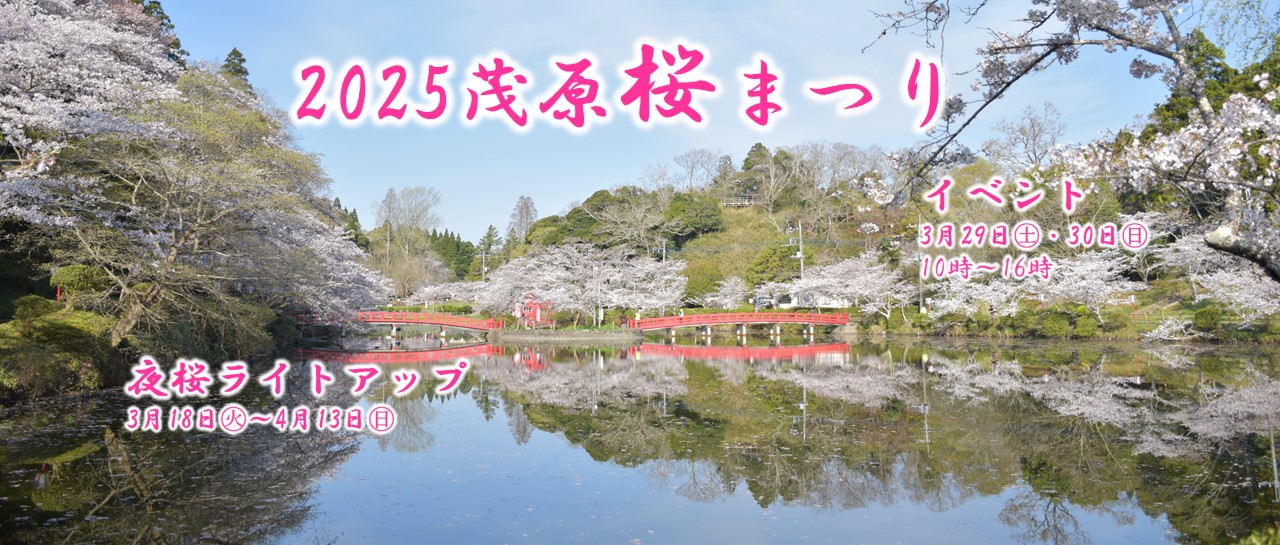 2025茂原桜まつり