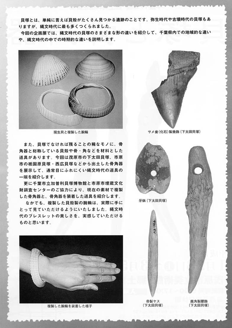 貝塚と骨角器チラシ裏面 展覧会内容に沿った骨角器、貝殻製の腕輪の写真を掲載。