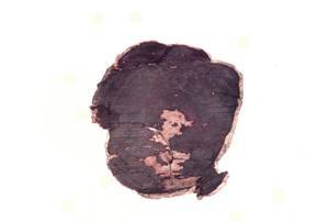 国府関遺跡から出土した木製品　ロクロ引きの漆器