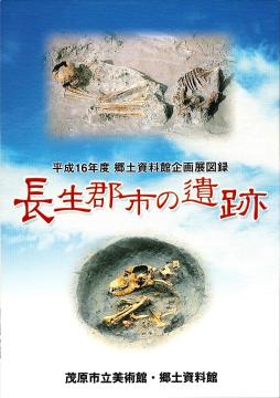 長生郡市の遺跡の表紙画像