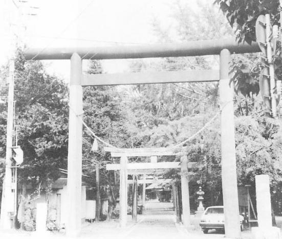 本納橘樹神社社叢