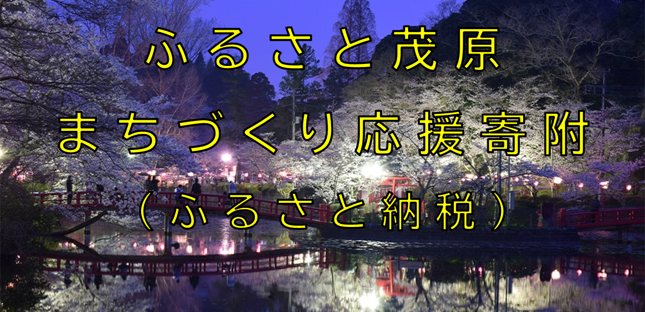 ふるさと茂原まちづくり応援寄附（ふるさと納税）