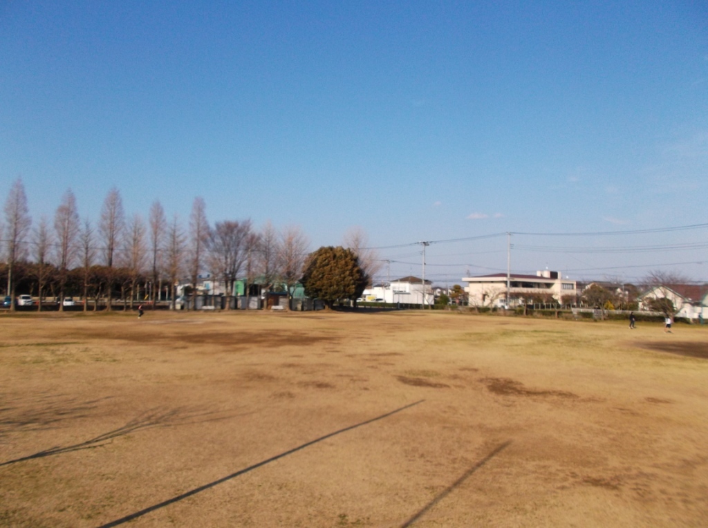 富士見公園の多目的広場