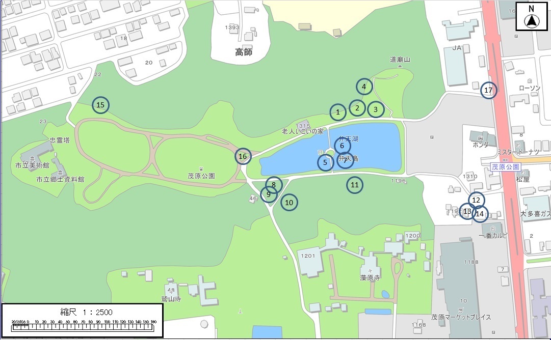 茂原公園