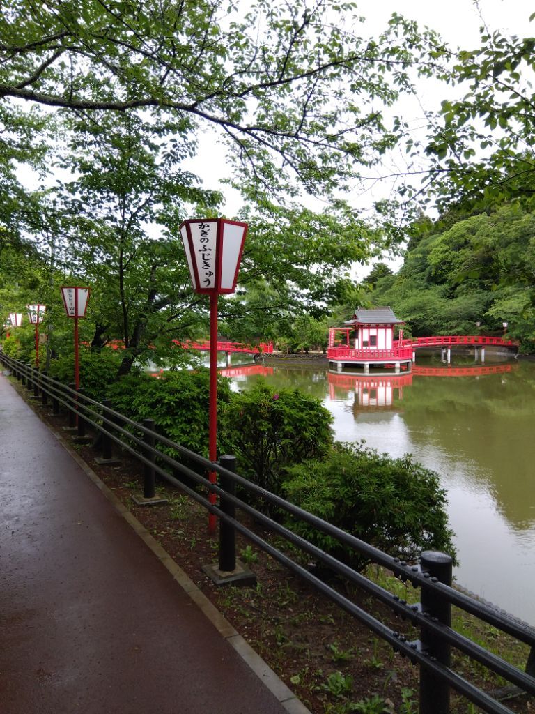 園路北側　つつじ開花状況　5月1日時点