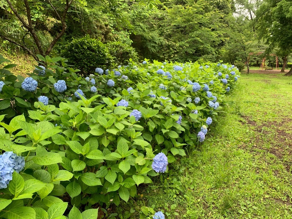 第一広場2