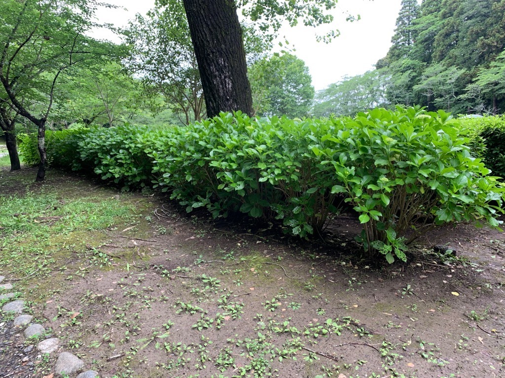 第二広場2