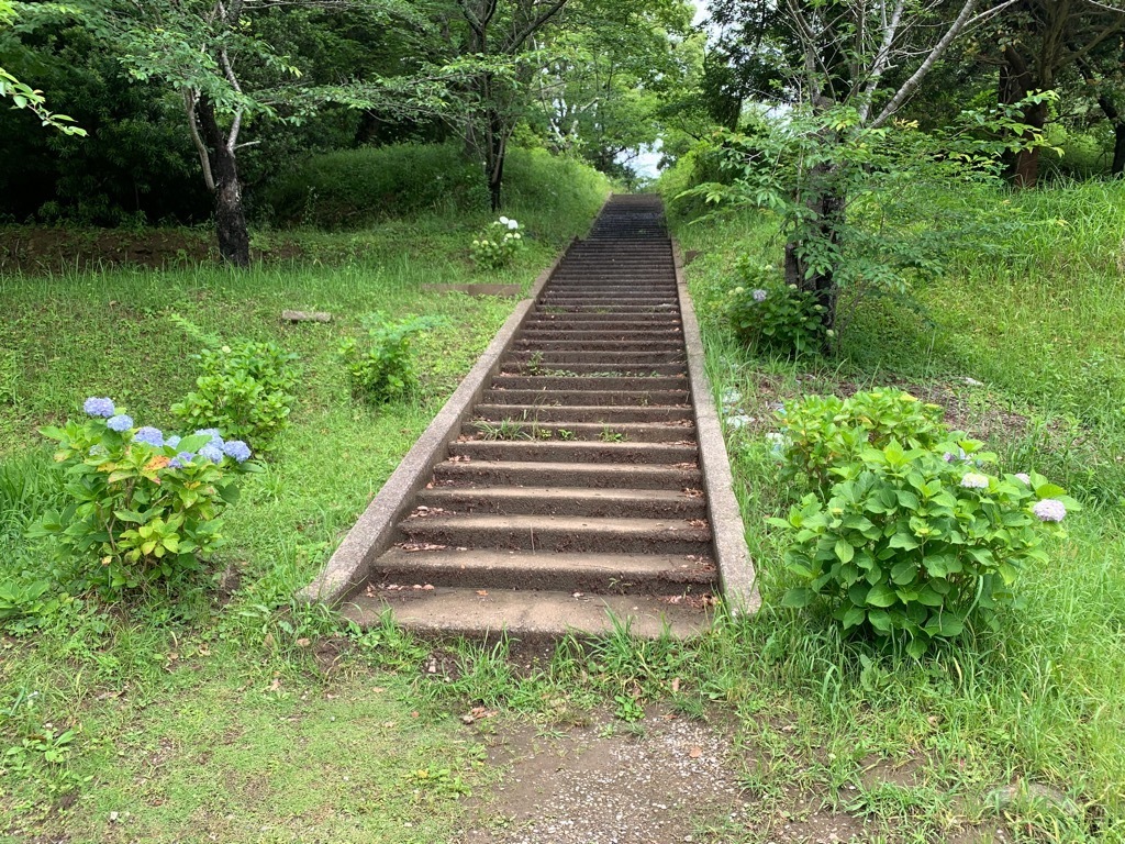 北側弁天湖周辺園路1