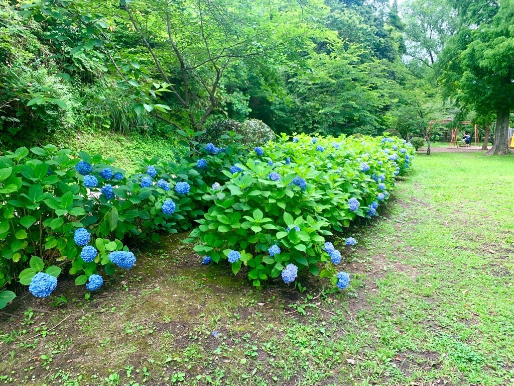 第1広場南側
