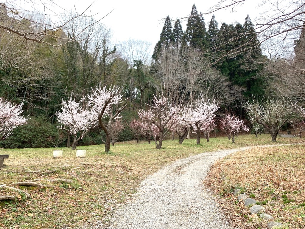 梅園全景