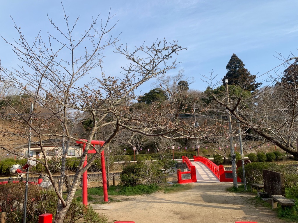 標本木