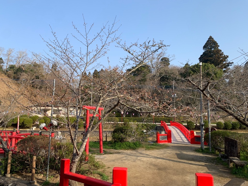 標本木