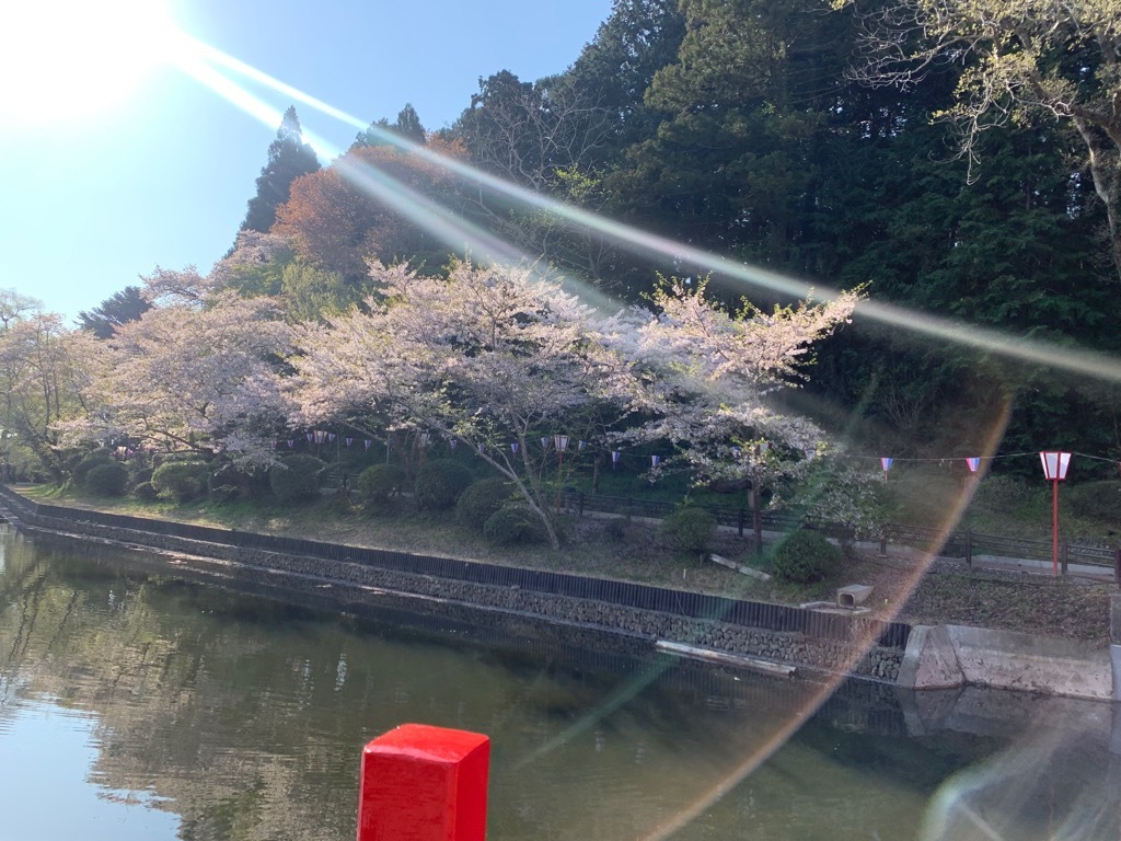 南側