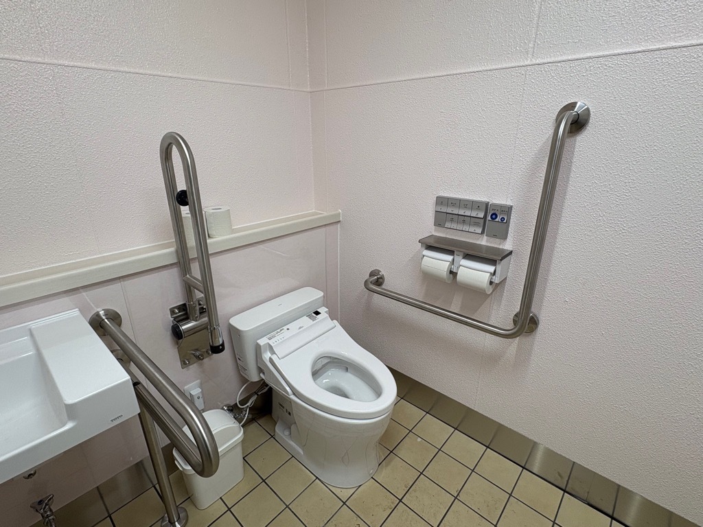 手摺が整備されたトイレ