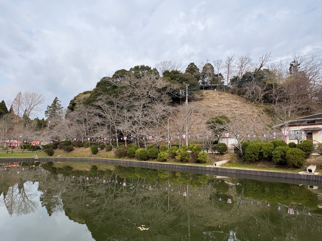 弁天湖北側の桜。数輪程度しか咲いていない。