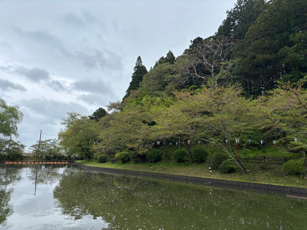 弁天島南側　桜状況　4月10日時点