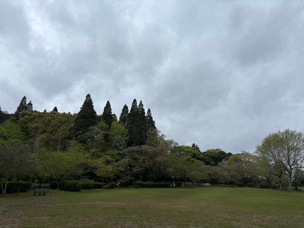 広場　桜状況　4月10日時点　